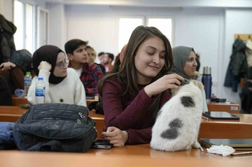 ‘Labne’ fakültede öğrencilerle derslere giriyor