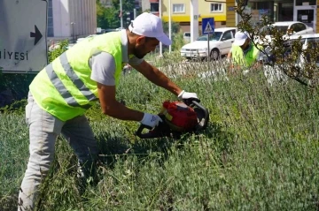 Lavantalardan bu yıl da organik ürünler üretilecek
