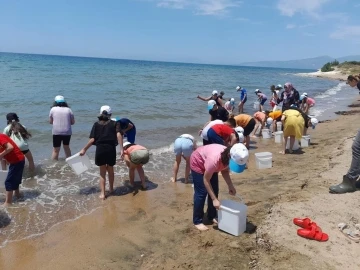 Lider çocuklar, denize balık bıraktı
