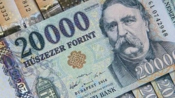 Macaristan merkez bankasından 'acil faiz artışı'