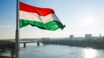 Macaristan'dan İsveç kararı
