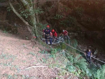 Mağaraya düşen danayı itfaiye kurtardı
