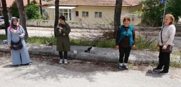 Mahallelinin beslediği kedi, ayakları kesilmiş halde ölü bulundu