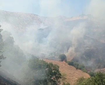 Malatya’da orman yangını
