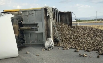 Malatya’da pancar yüklü kamyon devrildi: 2 yaralı
