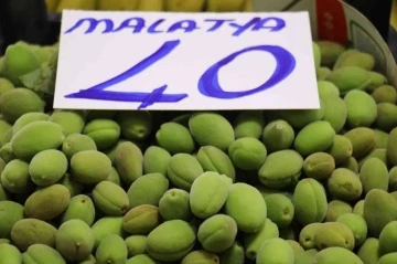 Malatya kayısısı çağlaları tezgahlardaki yerini aldı
