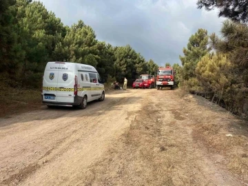 Maltepe’de çıkan orman yangınında hasarın boyutu gün ağarınca ortaya çıktı
