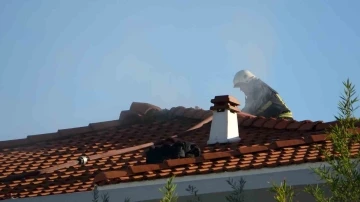 Manavgat Belediye Başkanı’nın evinin çatısındaki yangın korkuttu
