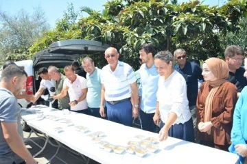 Manavgat'ta AK Parti'den aşure ikramı