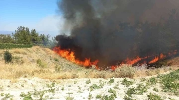 Manisa Büyükşehir İtfaiyesi Gördes yangını için seferber oldu
