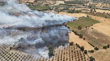 Manisa’da ekin tarlasında yangın: 35 dönüm kül oldu

