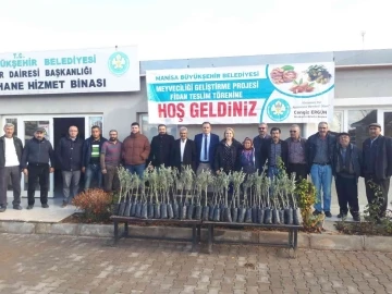 Manisa’da fidan destekleriyle üreticinin yüzünü gülüyor
