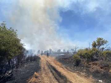 Manisa’da makilik alanda yangın
