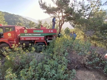 Manisa’da orman yangını
