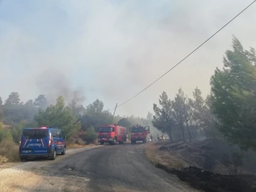 Manisa’da orman yangını çıktı
