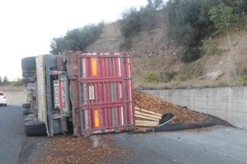 Manisa’da talaş yüklü tır devrildi: 1 yaralı
