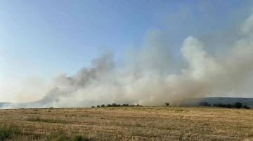 Manisa’daki orman yangını kontrol altına alındı
