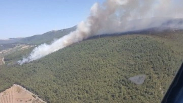 Manisa Soma'daki orman yangını kontrol altına alındı