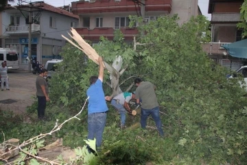 Manisa’ya kuvvetli rüzgar ve fırtına uyarısı
