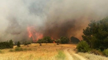 Manisa'da orman yangını çıktı! Alevlere havadan ve karadan müdahale ediliyor.