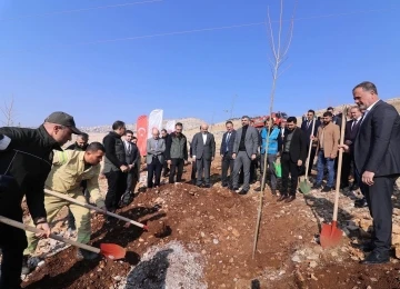 Mardin’de 23 bin 700 fidan dikildi
