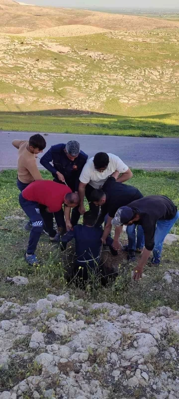 Mardin’de kuyuya düşen inek itfaiye ekipleri tarafından kurtarıldı
