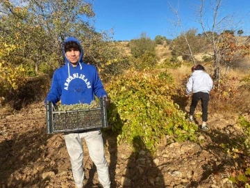 Mardin’de mevsimlik işçilerin zorlu mesaisi
