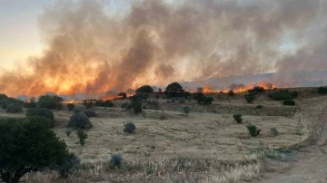 Mardin’de ormanlık alanda çıkan yangın söndürüldü
