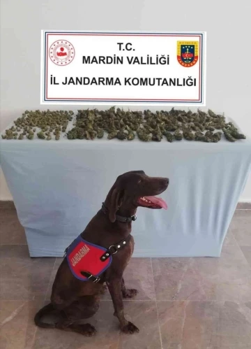 Mardin’de uyuşturucu satıcıları suçüstü yakalandı
