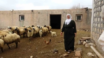 Mardin’in tek kadın muhtarı Nebahat, gelin geldiği köyü iki dönemdir yönetiyor
