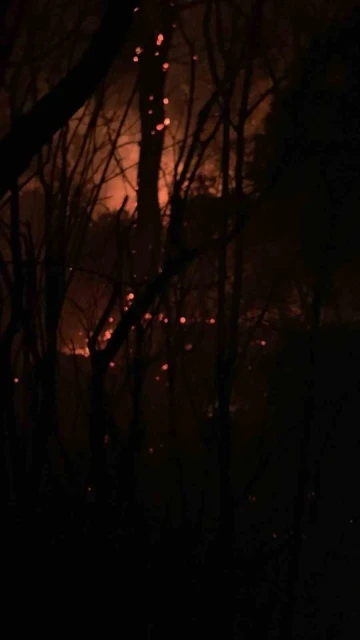 Marmaris’te çıkan orman yangını kısa sürede kontrol altına alındı
