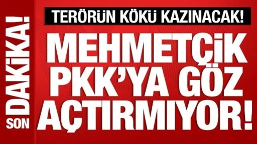 Mehmetçik, PKK'ya göz açtırmıyor! 9 terörist etkisiz!