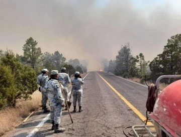 Meksika’da sıcak hava orman yangınlarını artırdı
