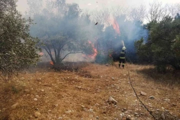 Menteşe’de arazi yangını
