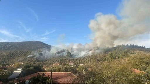 Menteşe’deki yangına havadan müdahale başladı
