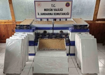 Mersin’de 500 bin adet makaron ele geçirildi
