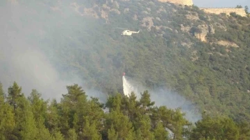 Mersin’de dünyaca ünlü vadide çıkan orman yangını söndürüldü
