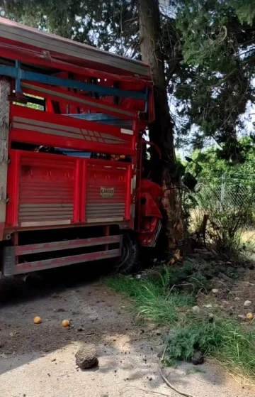 Mersin'de meyve yüklü kamyonet ağaca çarptı: 1 ölü, 6 yaralı