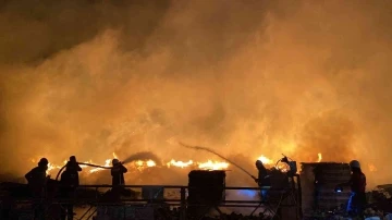 Mersin’de palet fabrikasında korkutan yangın
