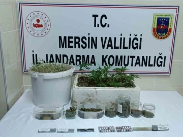 Mersin’de uyuşturucu operasyonu: 1 tutuklu
