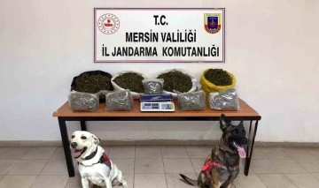 Mersin’de uyuşturucu ticareti yapan 4 şüpheli yakalandı
