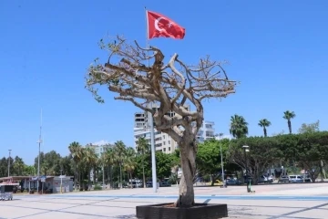 Mersin’deki ağaç kurutulması davasında karar çıktı
