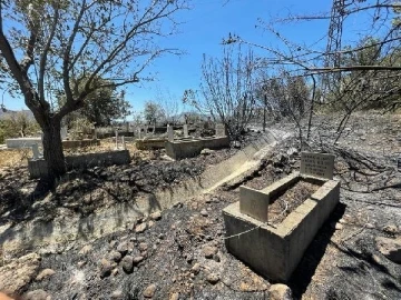 Mersin'deki orman yangını, 19 saat sonra kontrol altına alındı/ Ek fotoğraflar