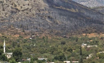 Mersin’deki orman yangını, küle dönen bölge havadan görüntülendi
