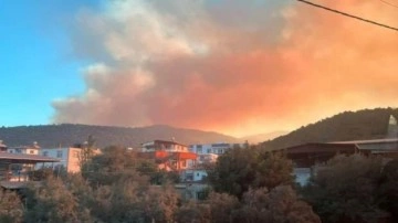 Mersin'de orman yangını: Havadan ve karadan müdahale için ekipler harekete geçti