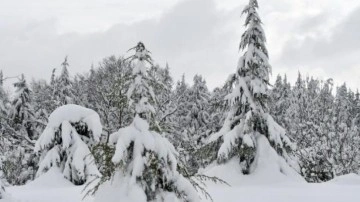 Meteoroloji 41 ili uyardı: Yoğun kar alarmı!