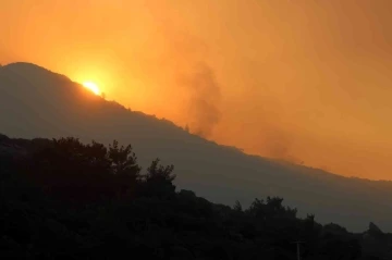 Meteoroloji’den Muğla’ya orman yangını uyarısı
