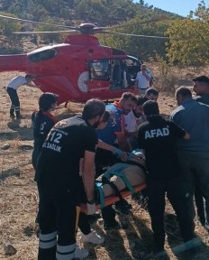 Meyve toplarken ağaçtan düştü, ambulans helikopterle hastaneye sevk edildi