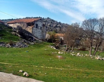 Mezarlık ziyaretine giden yaşlı kadına çoban köpekleri saldırdı
