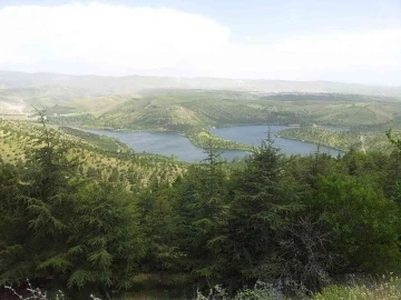 MHP’li Ilıkan’dan ’erken’ uyarı
